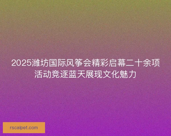 2025潍坊国际风筝会精彩启幕二十余项活动竞逐蓝天展现文化魅力