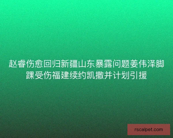 赵睿伤愈回归新疆山东暴露问题姜伟泽脚踝受伤福建续约凯撒并计划引援
