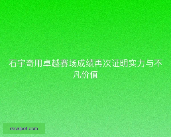 石宇奇用卓越赛场成绩再次证明实力与不凡价值