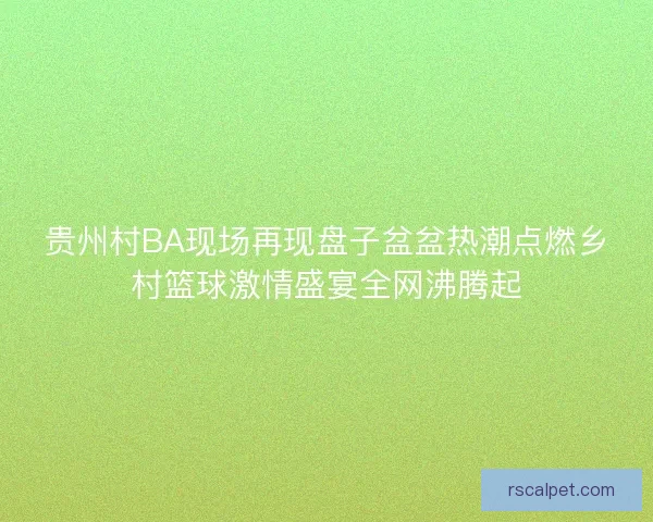 贵州村BA现场再现盘子盆盆热潮点燃乡村篮球激情盛宴全网沸腾起