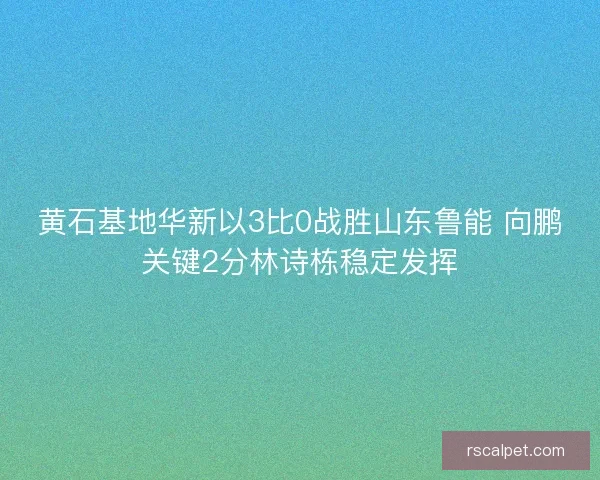 黄石基地华新以3比0战胜山东鲁能 向鹏关键2分林诗栋稳定发挥