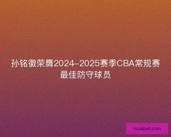 孙铭徽荣膺2024-2025赛季CBA常规赛最佳防守球员