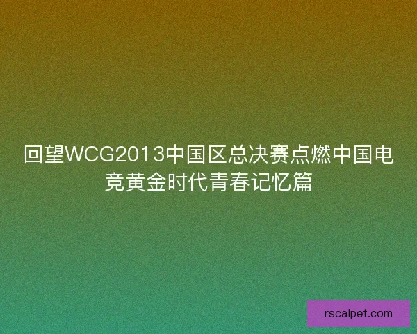 回望WCG2013中国区总决赛点燃中国电竞黄金时代青春记忆篇