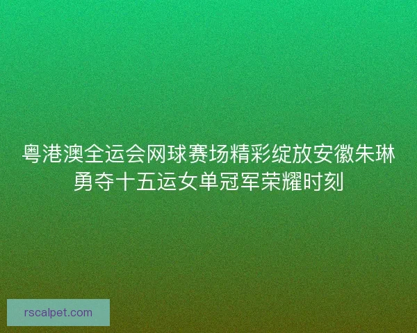粤港澳全运会网球赛场精彩绽放安徽朱琳勇夺十五运女单冠军荣耀时刻