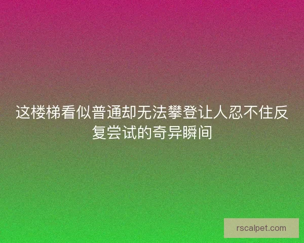 这楼梯看似普通却无法攀登让人忍不住反复尝试的奇异瞬间