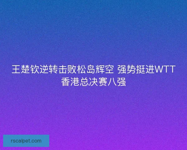 王楚钦逆转击败松岛辉空 强势挺进WTT香港总决赛八强 王楚钦逆转击败松岛辉空 强势挺进WTT香港总决赛八强