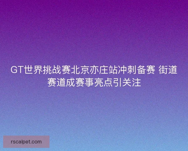 GT世界挑战赛北京亦庄站冲刺备赛 街道赛道成赛事亮点引关注 GT世界挑战赛北京亦庄站冲刺备赛 街道赛道成赛事亮点引关注